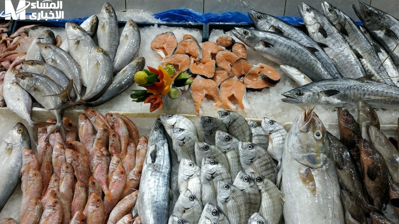 أسعار الأسماك اليوم