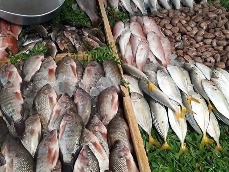 خد لمحة.. أسعار الأسماك اليوم الجمعة 13/6/2025