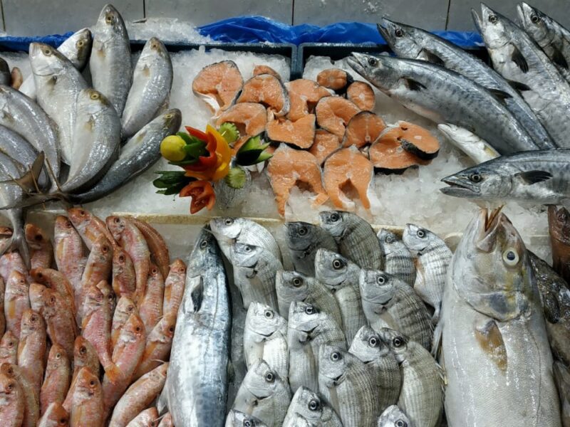 دوق الجديد.. أسعار الأسماك اليوم الخميس 26/6/2025