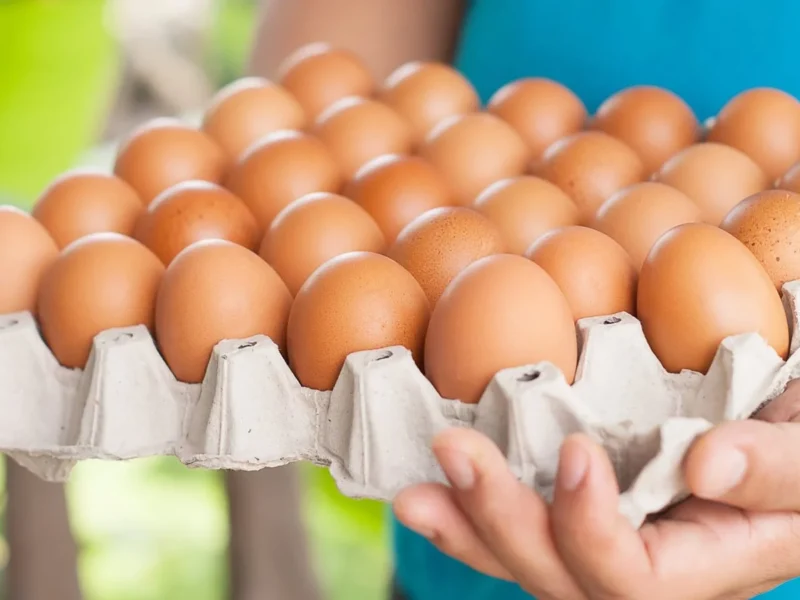 البيض عامل حفلة.. أسعار البيض اليوم الإثنين 9/6/2025