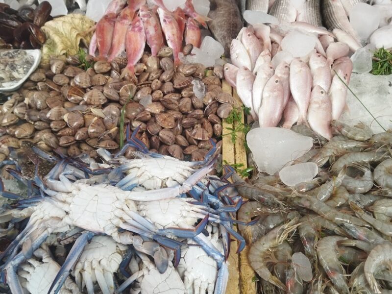 من قلب السوق.. أسعار السمك اليوم الخميس 26/6/2025