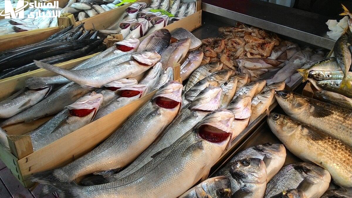 أسعار السمك اليوم