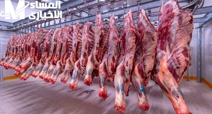 أسعار اللحوم الحمراء