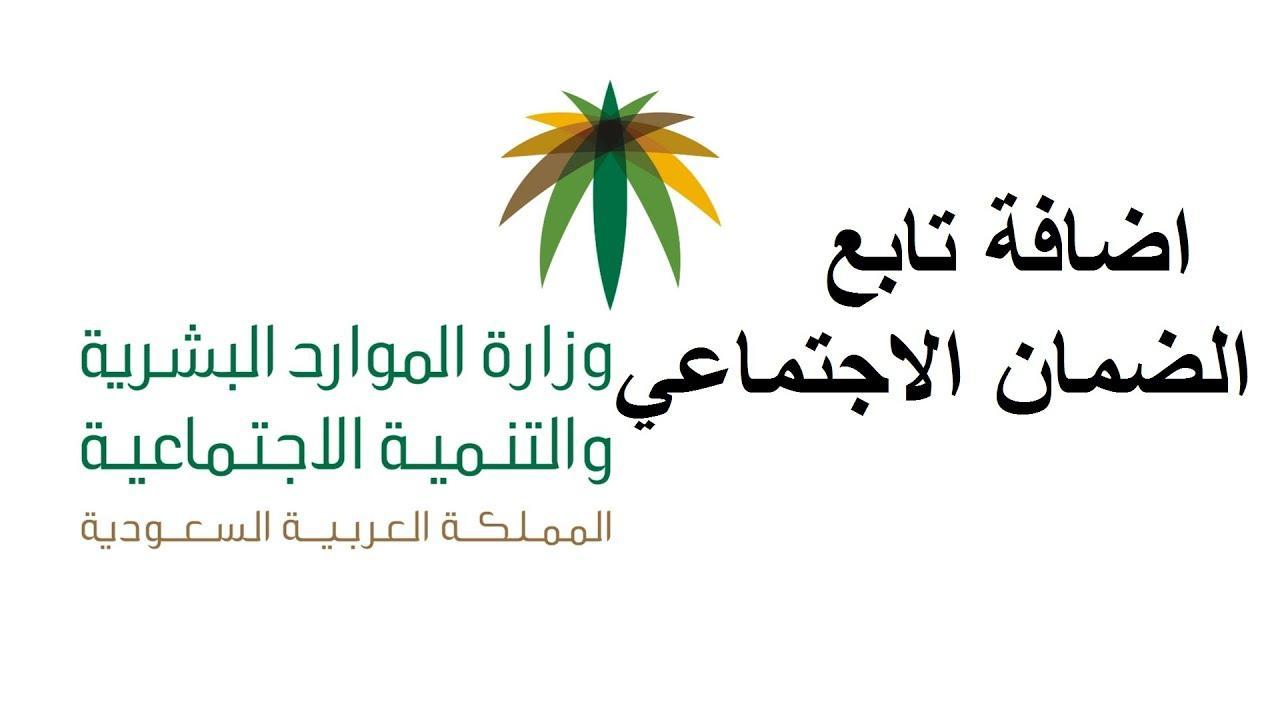 الضمان الاجتماعي المطور