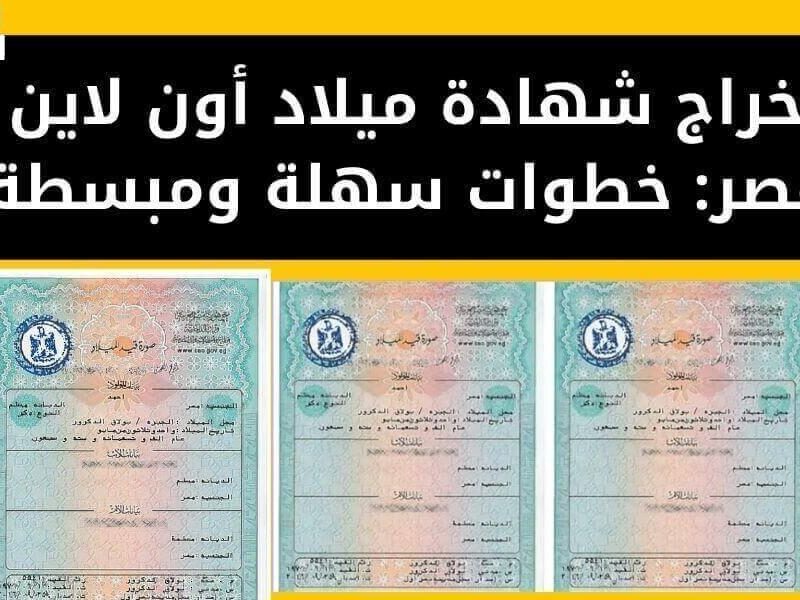 مولودك ليه وثيقة في موبايلك.. كيفية الحصول على شهادة الميلاد الرقمية من الموبايل بخطوات بسيطة
