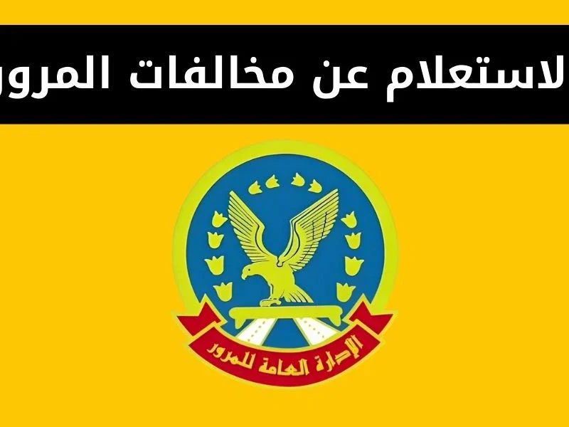 مخالفاتك كلها بتفصيل رسمي.. رابط الاستعلام عن المخالفات المرورية برقم اللوحة 2025 في السعودية بخدمة سريعة