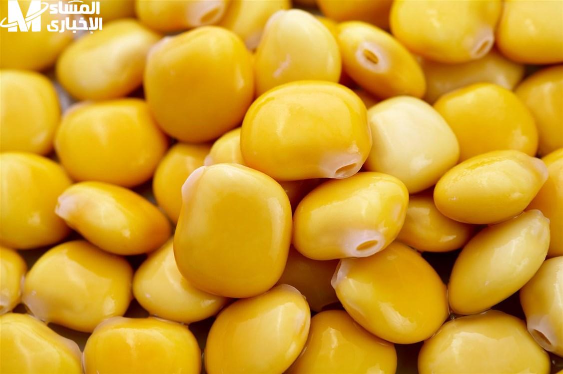 الترمس