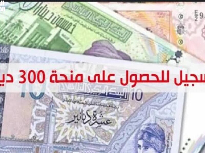 فلوسك مضمونة دلوقتي.. منحة تونس 2025 الجديدة قدم دلوقتي بسهولة