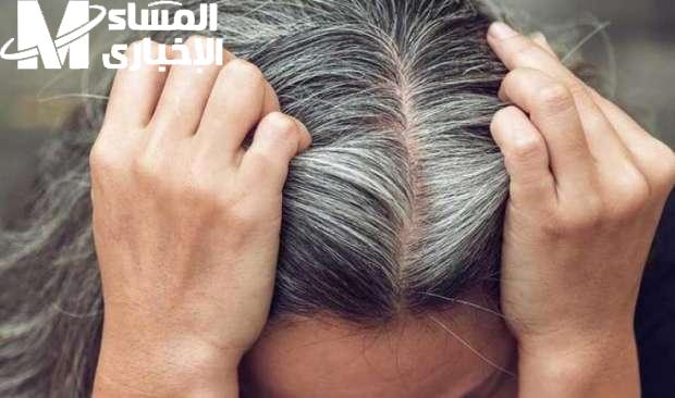 حل طبيعي وفعال…طريقة بسيطة تودعي بيها الشعر الأبيض للأبد بدون صبغات