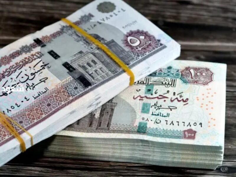 جدول جديد.. صرف المعاشات الحكومية في مصر حسب الخطة الجديدة