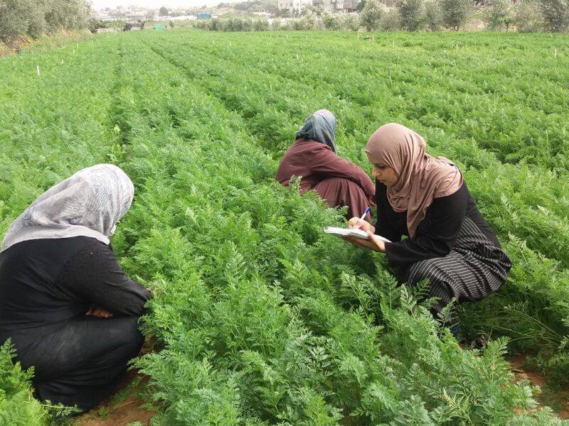 الجزائريين حصريًا.. طريقة الحصول على بطاقة الفلاح في الجزائر 2025.. اعرف الخطوات تسجيل سهل