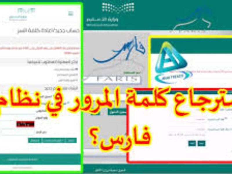 خلي حسابك في فارس آمن وبدّل كلمة المرور بسهولة خطوة بخطوة بدون مشاكل أو تعقيد نهائي