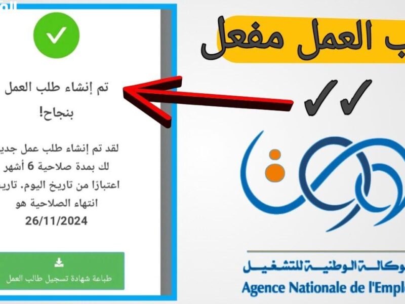 جددها وانت مرتاح من تليفونك.. طريقة سهلة وبلاش لفّ تضمنلك منحة البطالة 2025 من غير ما تروح لأي مكان