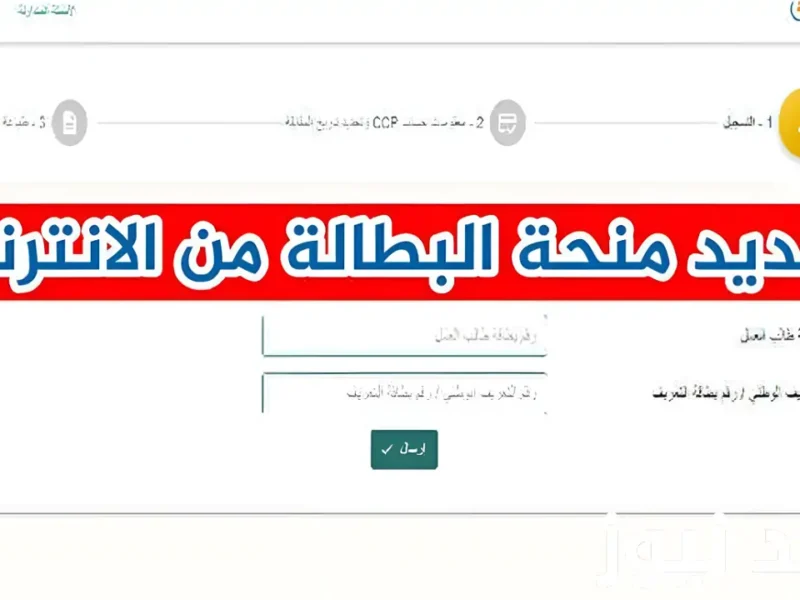 لو عايز شغل جامد.. سجل في منحة البطالة بالجزائر 2025 شوف فرصك بنفسك