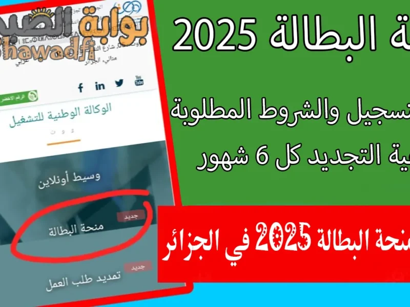 استخدم الخطوات البسيطة.. تجديد منحة البطالة الجزائر 2025 دعم مستمر