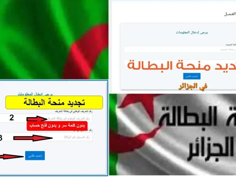 فرصتك الحقيقية جات دلوقتي.. منحة البطالة 2025 هتغير حياتك وتفتحلك أبواب رزق جديدة من غير تعب