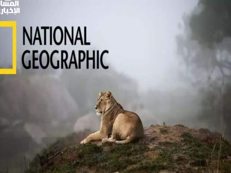 لمحبي الاكتشاف والمغامرة.. تردد قناة ناشيونال جيوغرافيك National Geographic 2025