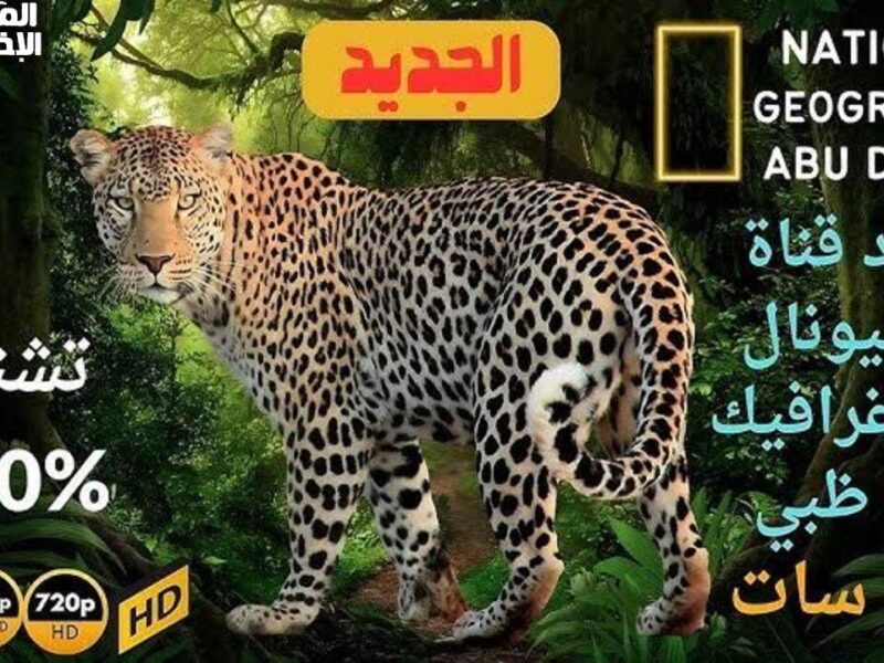 ارفع جودة قناتك الوثائقية.. تردد قناة ناشيونال جيوغرافيك الجديد 2025 جودة عالية