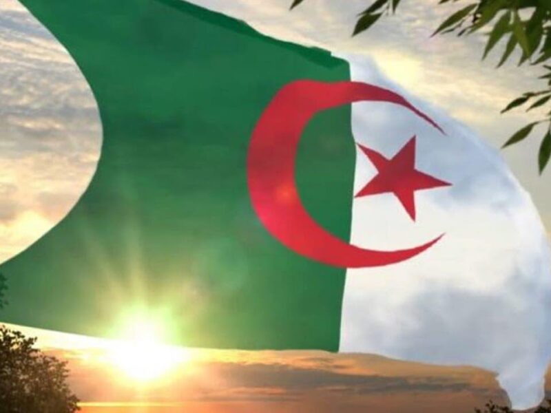 السن القانوني اتغير.. سن التقاعد في الجزائر 2025 اتغير رسميًا والكل بيحسبها من جديد بتحديث فعلي