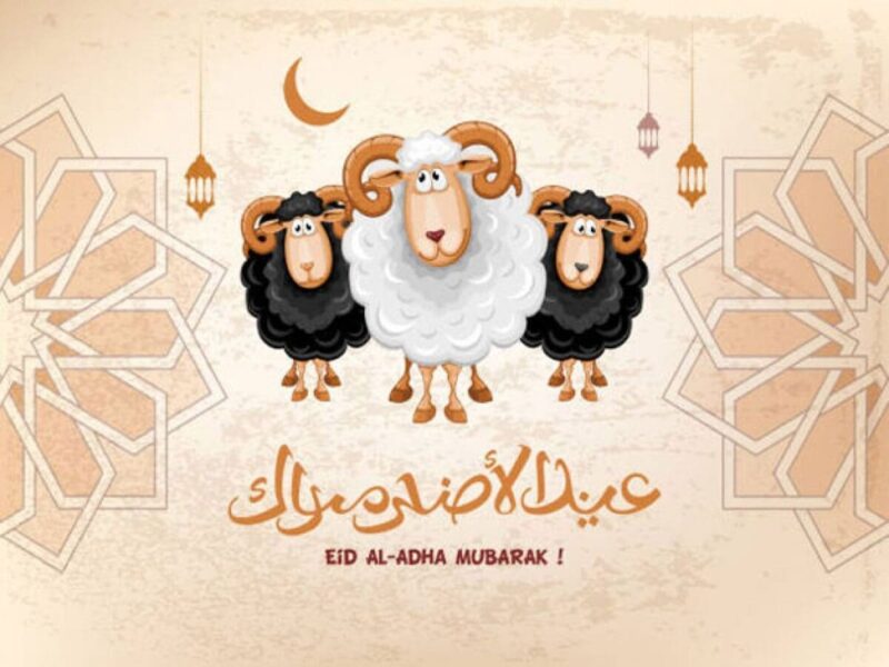 كل سنة وانت طيب.. تهنئة عيد الأضحى 2025 أجمل الرسائل وأطيب التمنيات كله هنا
