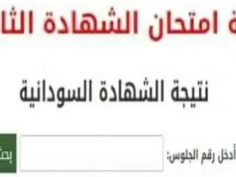 نتيجتك جاهزة أهو.. الاستعلام عن الشهادة السودانية 2025 بسرعة وراحة