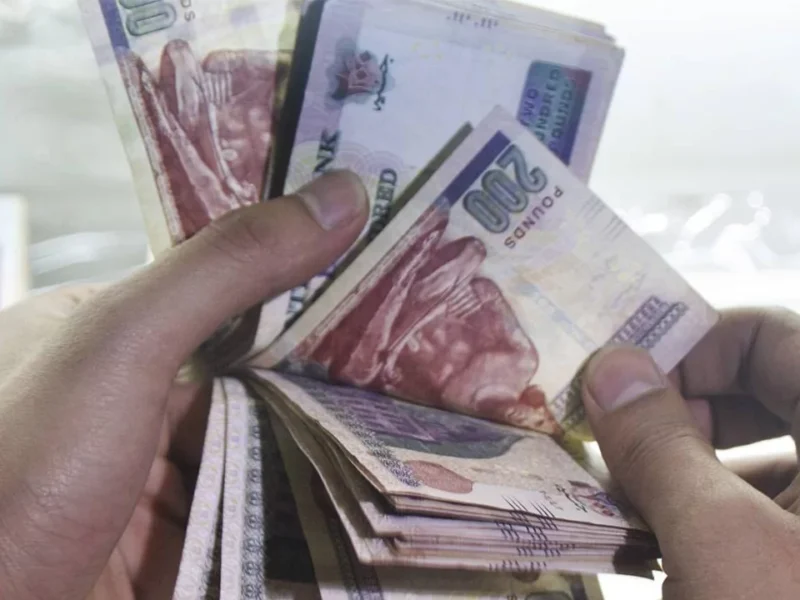 افحص رصيدك الوظيفي الشهري خطوات الاستعلام عن رواتب الموظفين شهر يوليو 2025 دقة رسمية