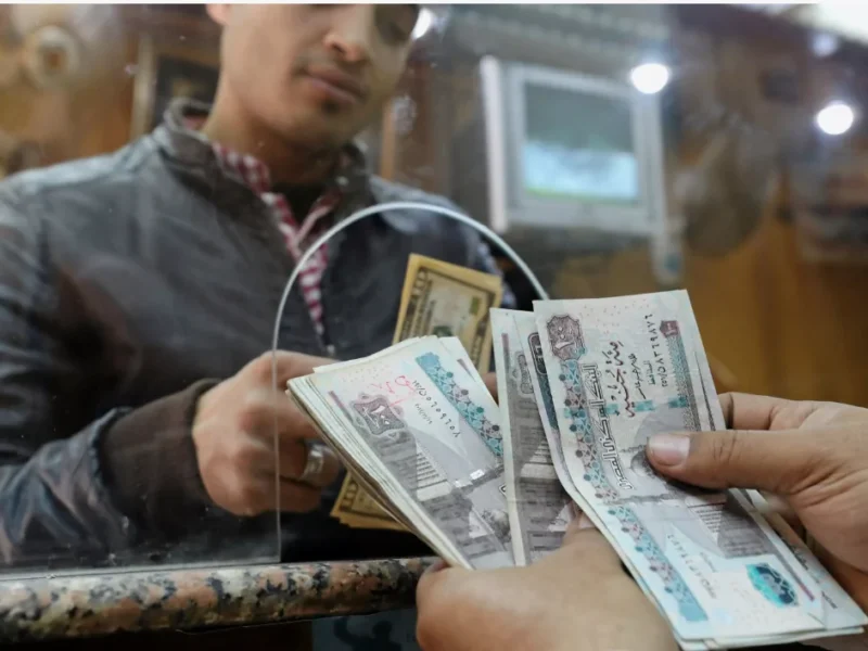 الوزارة تعلن جدول الأجور الجديد.. جدول الأجور الجديد في مصر بعد الزيادة القادمة من وزارة المالية بتفصيل موثوق