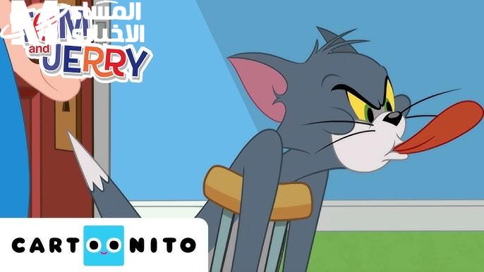 يلا نولعها ضحك مع تردد توم وجيري على سي إن بالعربية وعيش طفولتك من أول وجديد مع عيالك