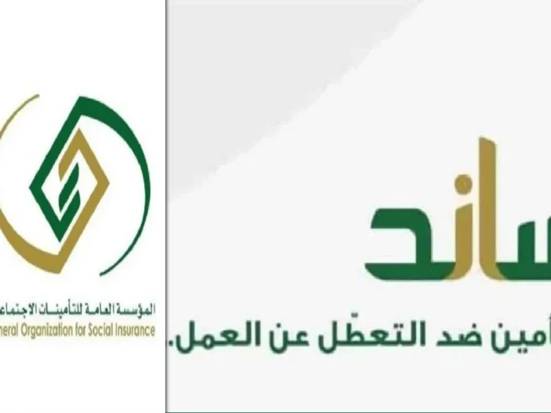 فرصة كبيرة.. كيفية التسجيل في منصة ساند للعاطلين عن العمل 2025 وشروط التسجيل بها أمان كامل ومضمون