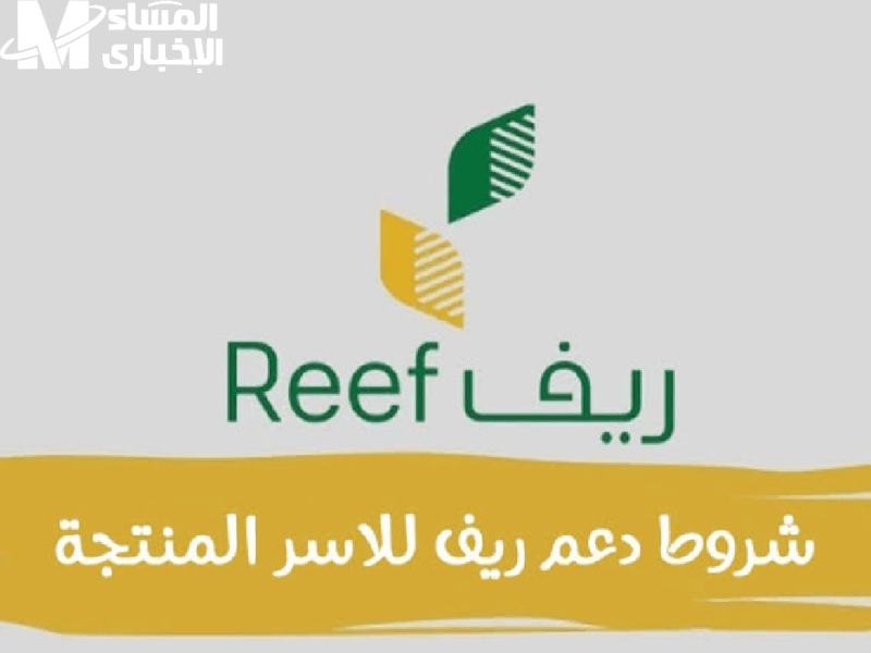 عندك مشروع فى البيت وعايز دعم مضمون.. طريقة التسجيل في دعم ريف للأسر المنتجة هتفتحلك باب رزق كبير