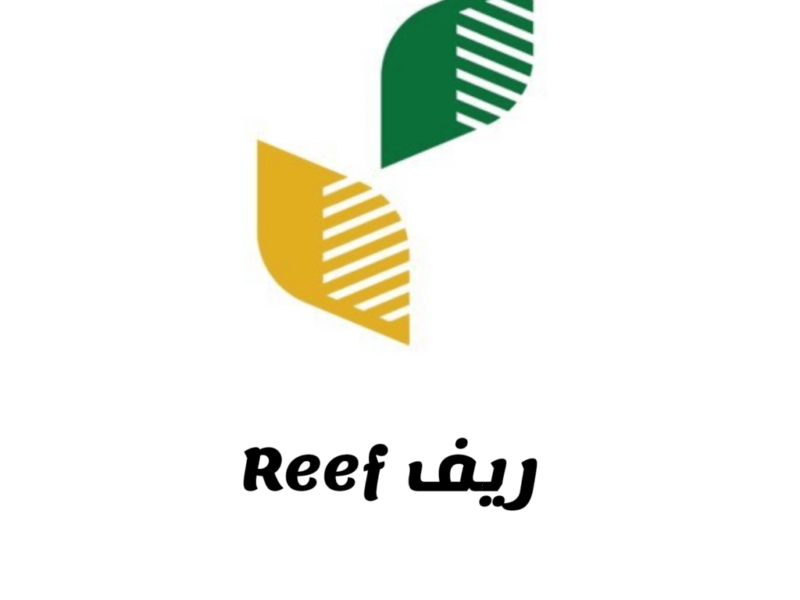 التسجيل شغال بسرعة.. دعم ريف للأسر المنتجة الشروط أسهل وأسرع دلوقتي