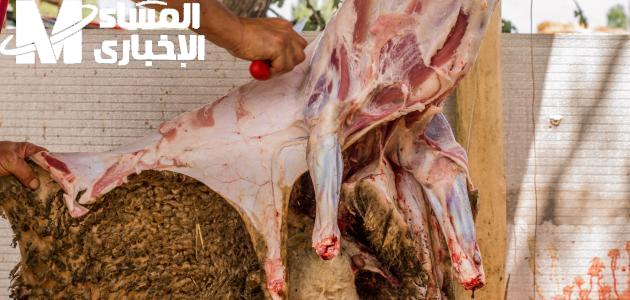 طريقة سلخ الخروف