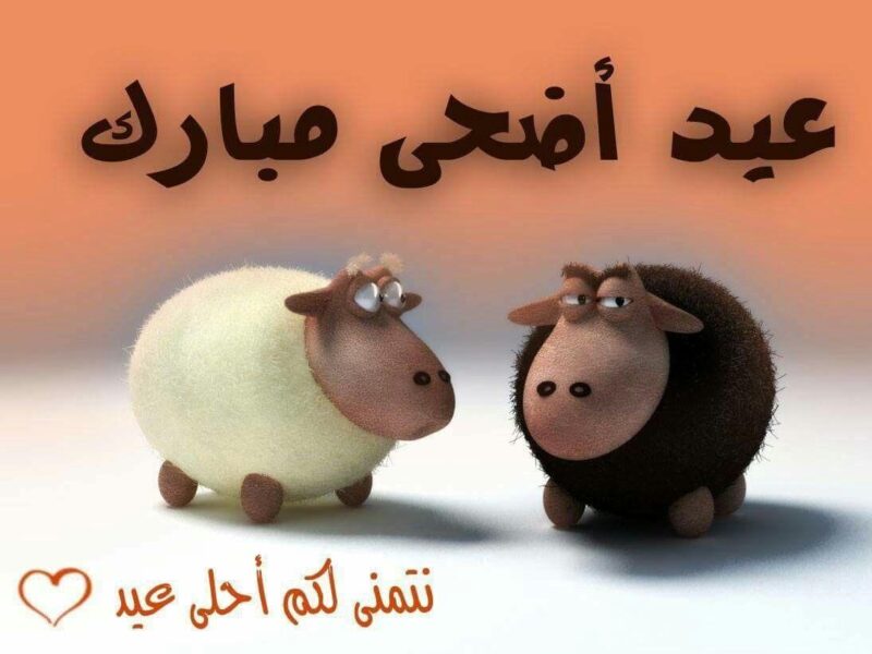 العيد بينا وبينكم.. موعد عيد الأضحى 2025 في مصر والسعودية والإمارات حب وسعادة