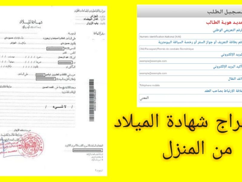 كل حاجة بقت أونلاين دلوقتي….شهادة الميلاد الرقمية للأسر الحاضنة اتفعلت فورا وبضغطة واحدة تخلص الموضوع