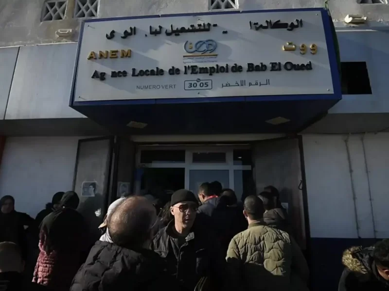 سجل قبل ما يفوتك.. منحة البطالة الجزائرية 2025 هتغير حياتك وتفتحلك باب رزق جديد بكل سهولة