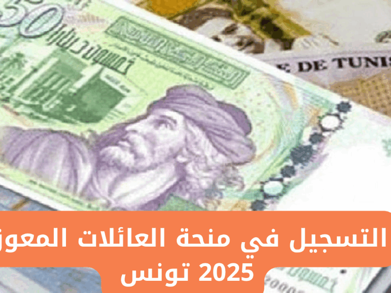 فرصة ماتتفوّتش.. منحة تونس 2025 بقيمة 300 دينار دلوقتي على الرابط