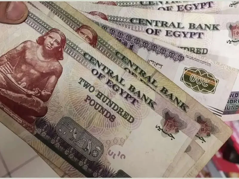  احصل على الاستحقاق.. منحة العمالة غير المنتظمة 2025 عبر وزارة العمل إعانة سريعة