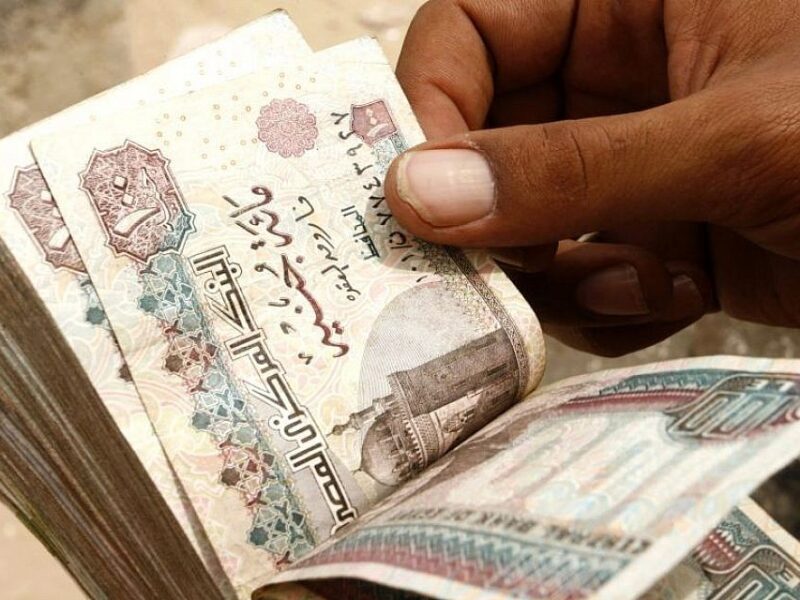 الموظفين يقدروا يعرفوا حالًا .. خطوات الاستعلام عن رواتب الموظفين شهر يونيو 2025 كشف فوري