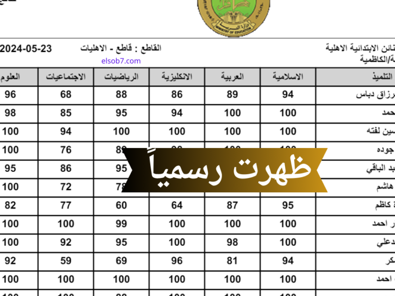 تابع محافظتك.. نتائج السادس الابتدائي العراق الدور الأول نجف-بابل-البصرة نتائج محلية