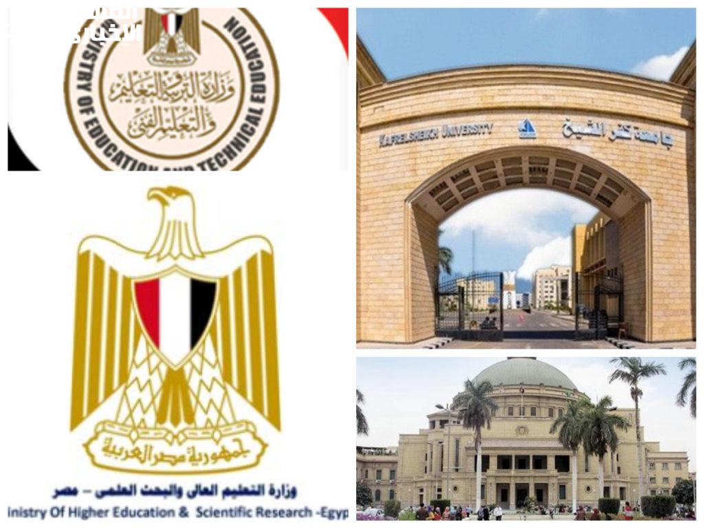 الجامعات في مصر