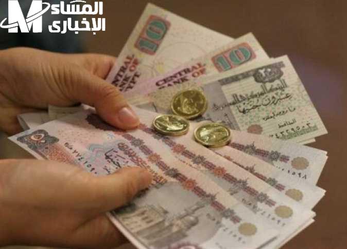 راتبك في الطريق ليك.. خطوات الاستعلام عن رواتب الموظفين يوليو 2025 شوفها بدون تعقيد