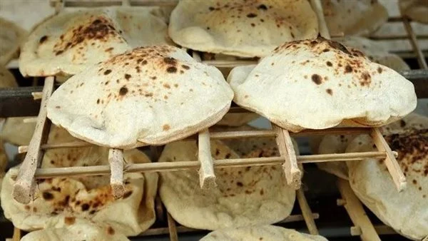 العيش لو حابب.. أسعار العيش اليوم الثلاثاء 1/7/2025