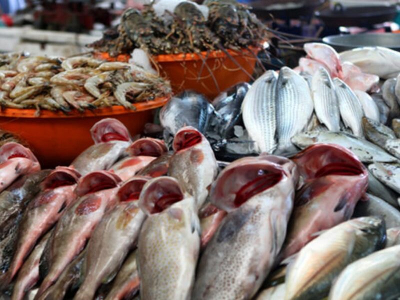 صيد طازة ليك.. أسعار الأسماك اليوم الاثنين 7/7/2025