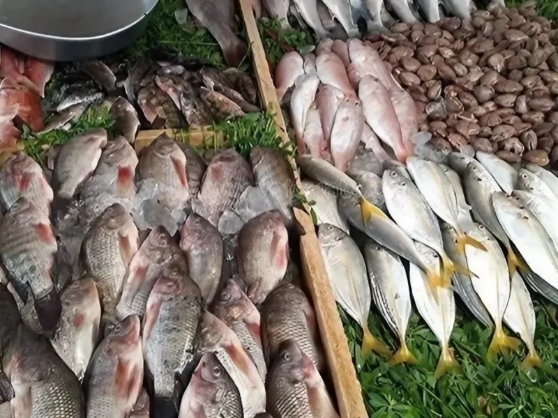 السمك في الموج.. أسعار السمك اليوم الثلاثاء 8/7/2025