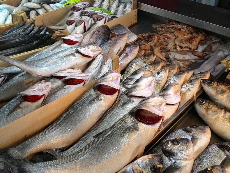 السمك طالع طازة.. أسعار السمك اليوم الاثنين 7/7/2025