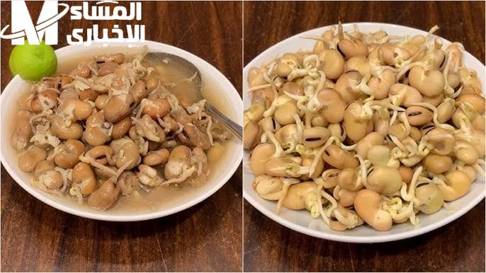 الفول النابت