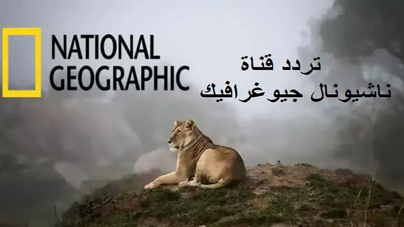 غيّر وجهتك إلى المعرفة المرئية.. تردد قناة ناشيونال جيوغرافيك الجديد 2025 على نايل سات تجربة تعليمية