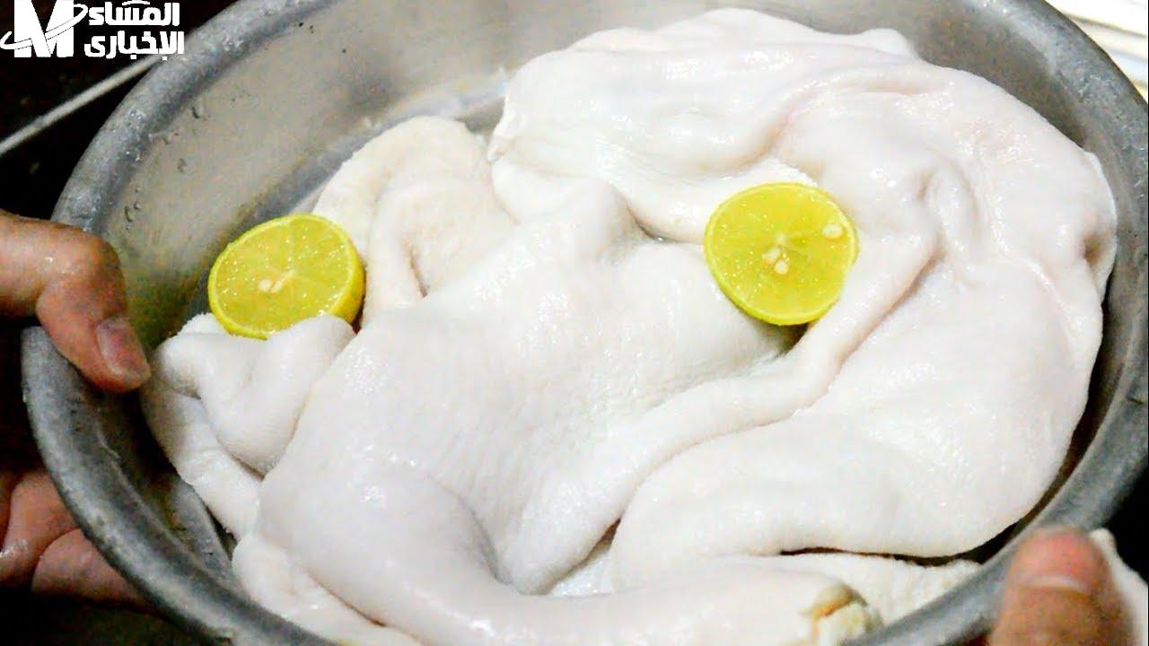 تنظيف الكرشة