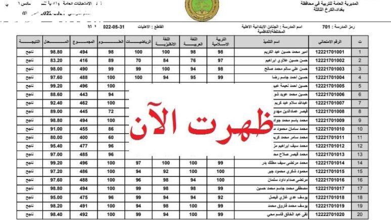 النتيجة مش آخر المطاف.. اعتراضات نتائج السادس ابتدائي 2025 في العراق تابع التفاصيل الرسمية