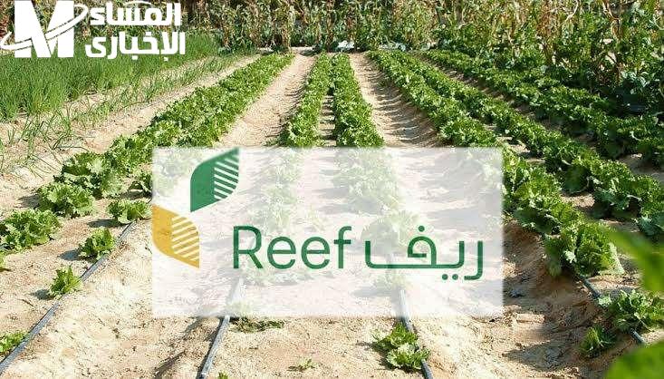 ريف السعودية